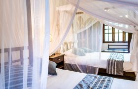 Tanzanie Arumeru Lodge