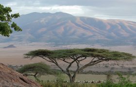 Tanzanie conservation de Ngorongoro